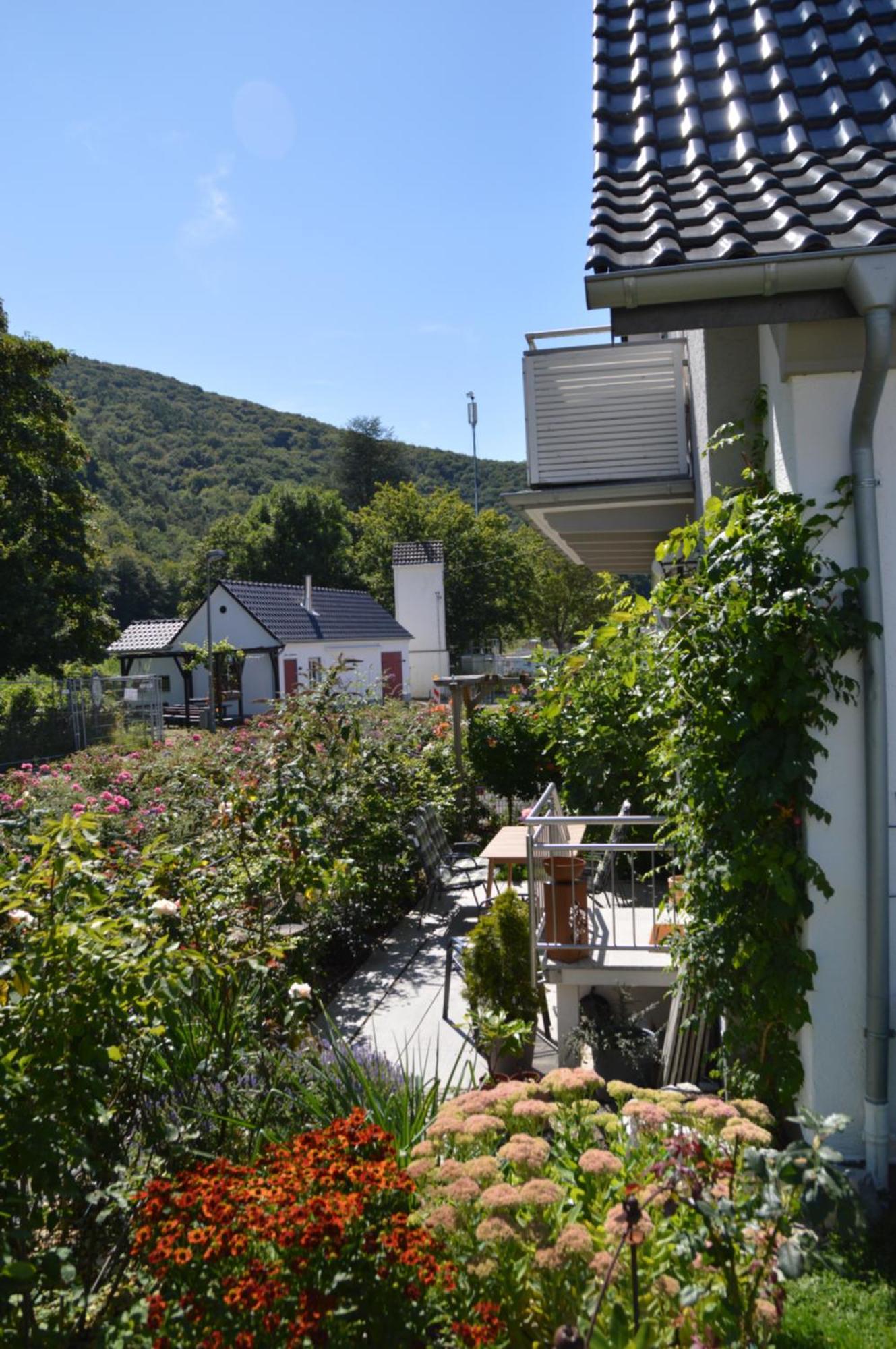 Ferienwohnung Hochgewaechs Bad Neuenahr-Ahrweiler Exterior foto